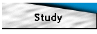 Study